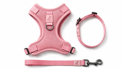Breathable Dog Vest Harness Set