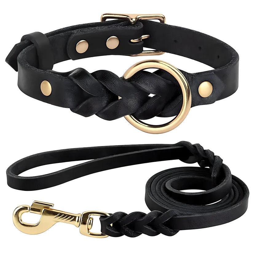 Genuine Leather Dog Collar & Lead Set