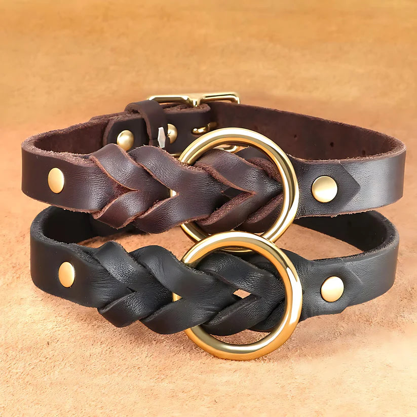 Genuine Leather Dog Collar & Lead Set