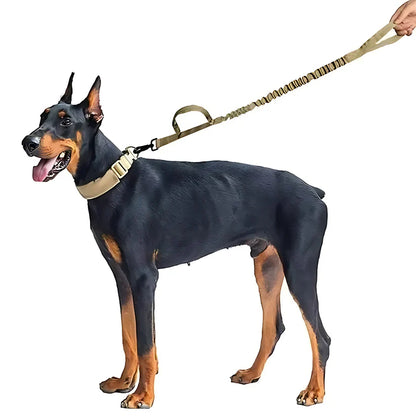 Military Style Dog Collar and Lead Set