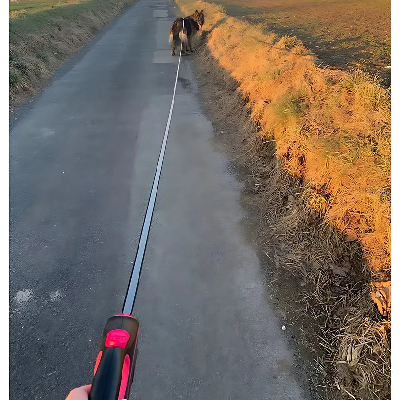 Retractable Dog Walking Lead